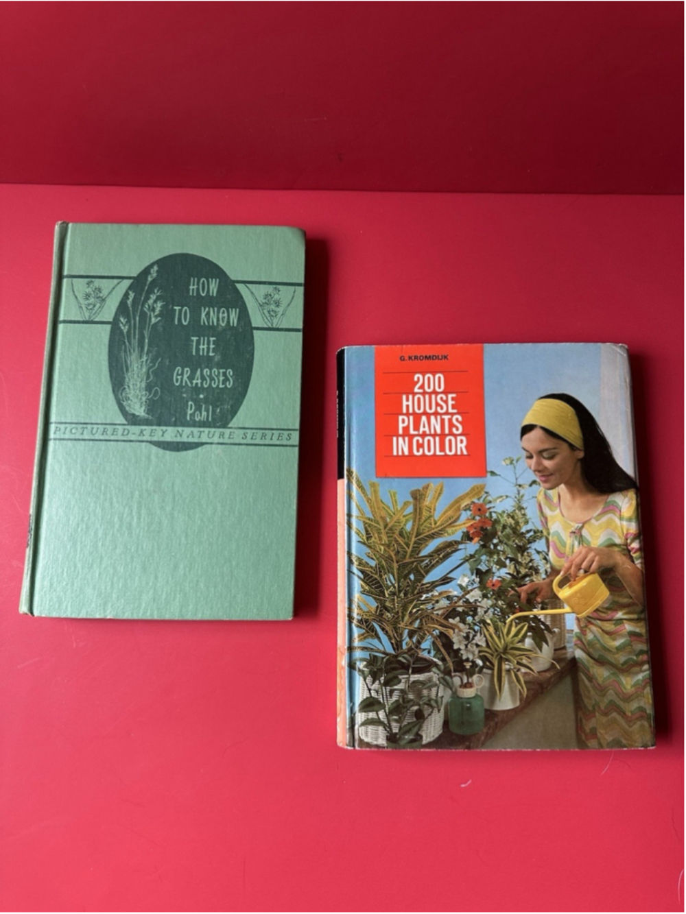 VTG Houseplants and Garden Books Set of Two Hardcover Books